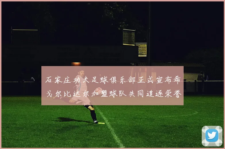 石家庄功夫足球俱乐部正式宣布希戈尔比达尔加盟球队共同追逐荣誉