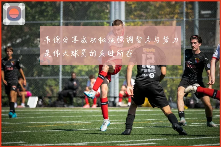 韦德分享成功秘诀强调智力与努力是伟大球员的关键所在